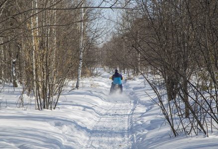 骑自行车的人骑着一辆山地自行车，在冬季的森林里的雪