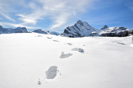 脚步声在雪地上。瑞士的阿尔卑斯山
