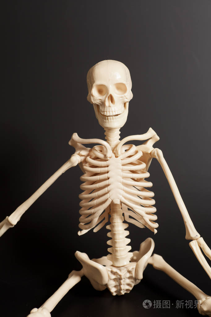 黑色背景上的人体骨骼