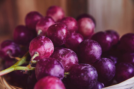 一串紫色和红色的葡萄在一个柳条篮子在黑暗的背景。在篮子里收割未洗过的葡萄。从种植园人工收集生态生物清洁有机葡萄