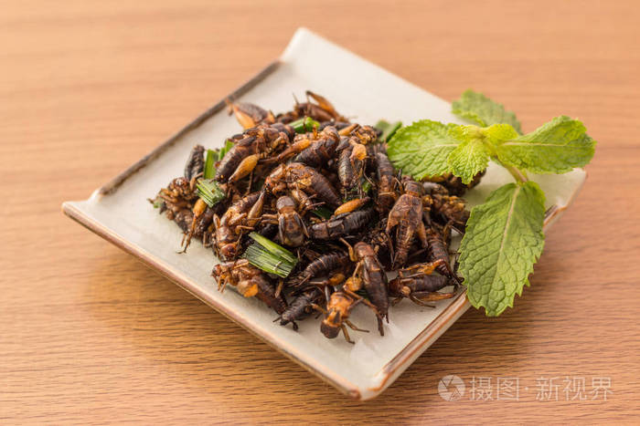 油炸昆虫-蟋蟀昆虫与香兰后炸脆皮