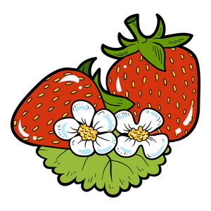 彩色图像，卡通浆果草莓