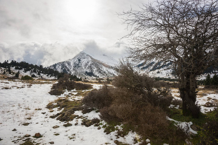 冬天白雪皑皑的山景观上装载 Helmos 滑雪中心附近