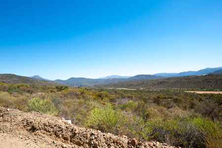 南非的 Cederberg 地区