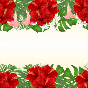 花卉无缝背景花束与热带花卉插花, 红色芙蓉, 棕榈, 蔓和 Brugmansia, 老式矢量插图可编辑手绘手画