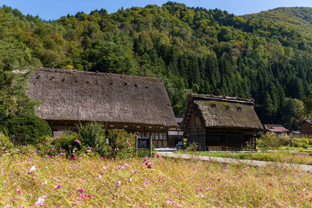 传统日本村白川乡