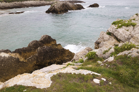 美丽和岩石绿色的海岸线度假