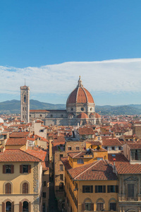 全景图的佛罗伦萨市和大教堂圣玛丽亚德尔