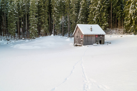瑞士冬季孤独在森林里的小屋