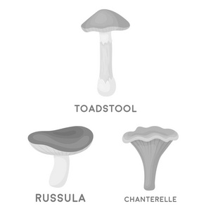 有毒和可食用的蘑菇单色图标集合中的设计。不同类型的蘑菇矢量符号库存 web 插图