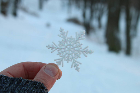 手中拿着一朵雪花