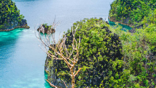 印度尼西亚西巴布亚拉贾安帕特岛