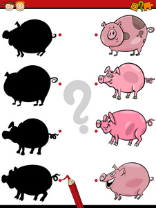 猪和学校影子任务和猪在一起照片