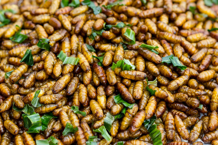 炒昆虫蝗虫昆虫脆, 泰国食品在街头食品市场。市场上有售