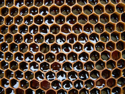 蜜蜂蜡与蜂蜜纹理