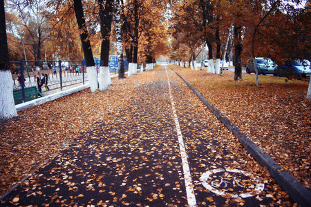 在公园里景观秋天路径