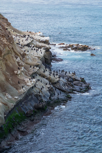 升腾和岩石在 La Jolla 湾，加利福尼亚州