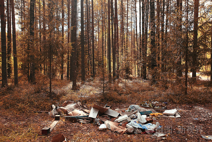在树林里的垃圾堆
