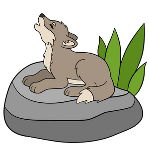 小小的可爱的小宝贝狼的嚎叫声照片