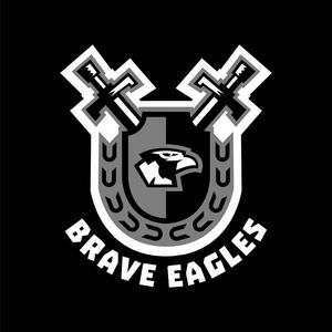 盾牌彩色的矢量图标图片