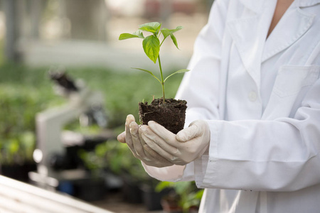 实验室农艺师图片