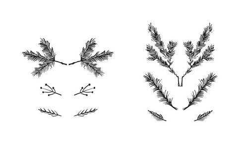 手绘矢量圣诞粗糙手绘图形问候设计元素集合用墨水斯堪的纳维亚的圣诞树树枝在白色背景上隔离