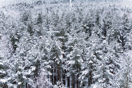 一个美丽的冬季景观在北欧欧洲的灰色, 阴天从瞭望塔的看法