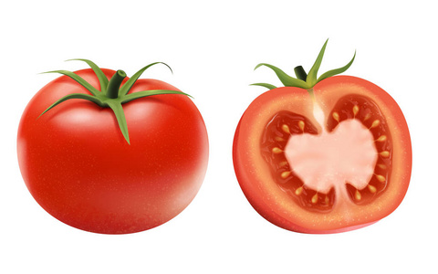 新鲜西红柿元素