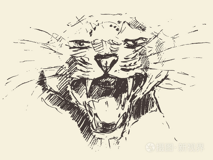 豹子头攻击构成风格的素描画