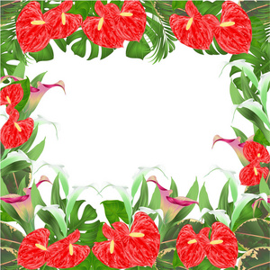 花卉边框自然背景与盛开的百合卡拉和红掌, 棕榈, 蔓和榕矢量插图用于室内设计贺卡