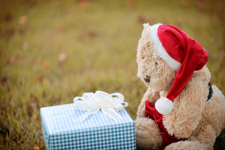 泰迪熊和礼品盒在草坪上