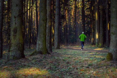 早晨在森林的灌木丛中慢跑.在公园里奔跑的运动员的剪影照片