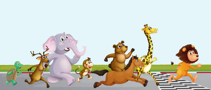 动物赛跑在终点线照片