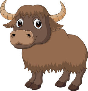 野牦牛插画图片