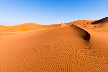 风景名胜脊的沙丘 Sossusvlei，纳米布诺克国家公园，在最佳旅游和旅行在纳米比亚的吸引力。冒险和探索在非洲