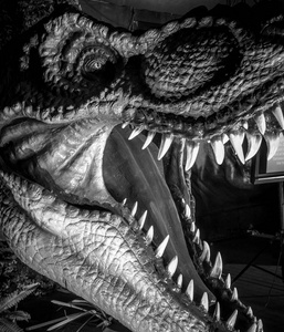 霸王龙,下巴充满尖锐和危险的牙齿摄影图