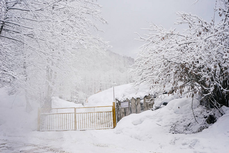 在遥远的寒冷的北方, 树木和房屋被积雪覆盖照片