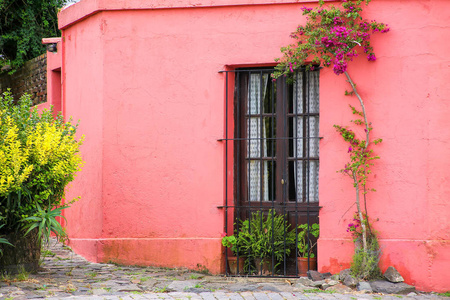 在乌拉圭科洛尼亚萨克拉曼多的彩绘房子。这是乌拉圭最古老的城镇之一。
