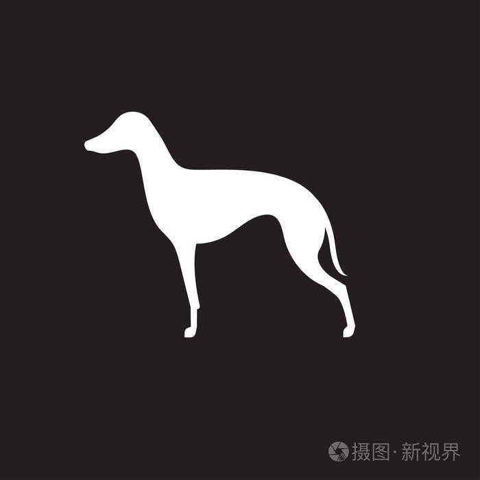 意大利灰狗剪影