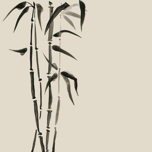 竹子插画日本风格的竹子.水彩手绘插画照片