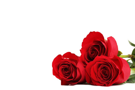 白色背景上的红玫瑰花束