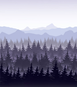 山底雾中松树林的矢量图解。针叶林, 冷杉剪影森林的神秘景观