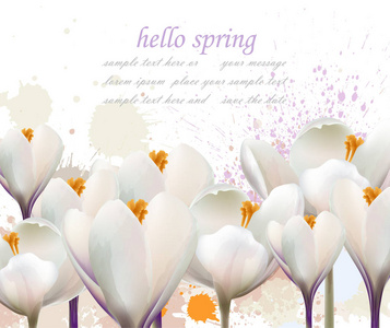 您好春白花牌矢量。水彩飞溅可爱的问候。精致的婚礼插图背景