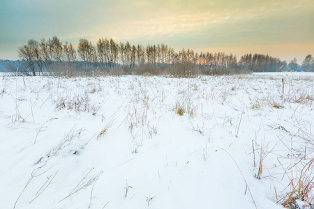 波兰的典型冬季农村景观