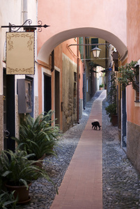 意大利狭窄的街道