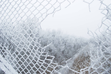 在孔雪旧篱笆