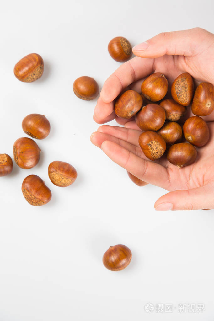 白色背景的板栗的特写