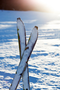 双十字架滑雪板在雪地里图片