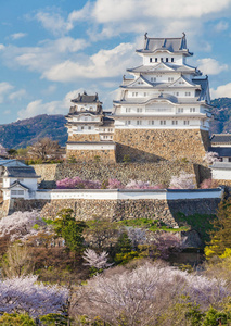 日本樱花樱花季节的白鹭城堡