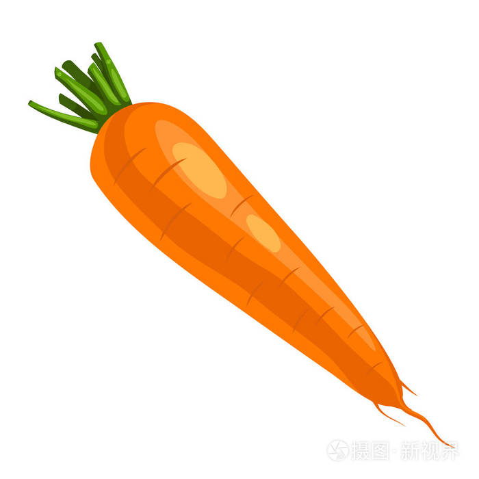怀特背景上孤立的胡萝卜插画-正版商用图片0gky7r-摄图新视界